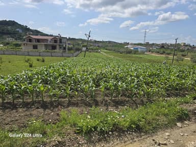 Land for sale in Golem, 490m2