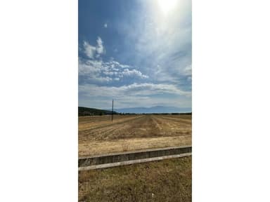 Fertile Land – 1,176 m² for Sale • Agricultural Use