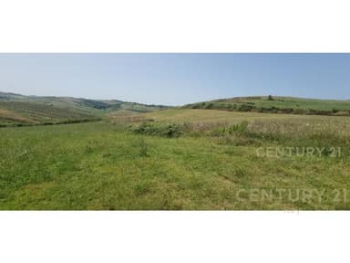 Plot 14,000 m2 Land in Arapaj, Durres