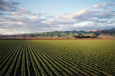 Agricultural Farm with Vineyard - Zejmen, Lezhe