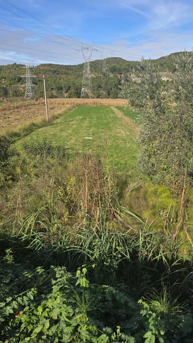 Land, Ibë, Tirana